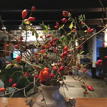 別荘 Authentic With Charm In The Heart Of The Auvergne Volcanoes