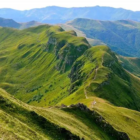 Authentic With Charm In The Heart Of The Auvergne Volcanoes *